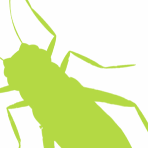 logo512g3
