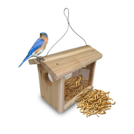 mealworm-birdbox-feeder-supercricket-farms - Super Cricket Farms