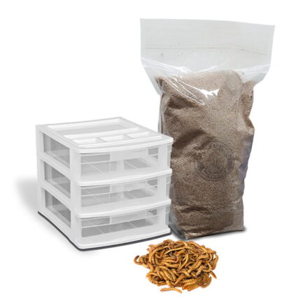 mealworm_kit_supercricket_farms - Super Cricket Farms