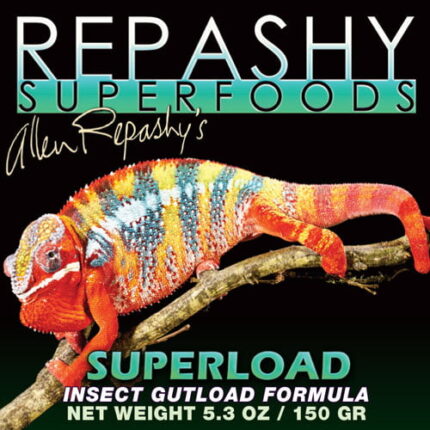 superload - Super Cricket Farms