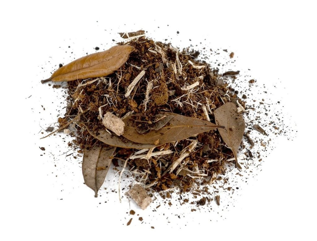 Canapod Canapod Isopod Substrate Super Cricket Farms Canada