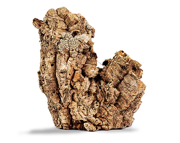 Canapod Cork Bark - Super Cricket Farms | Canada