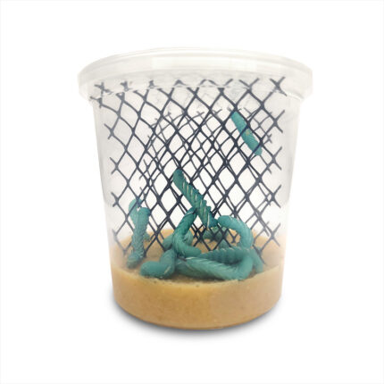hornworm-pods-super-cricket-farms - Super Cricket Farms