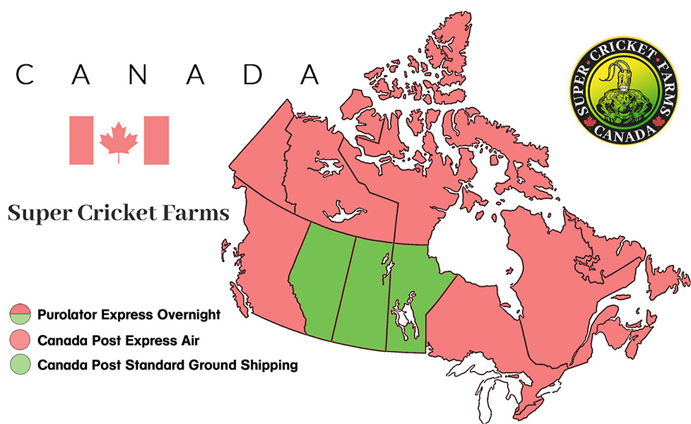 shipping600h-map-2025-fill shipping600h-map-2025-fill