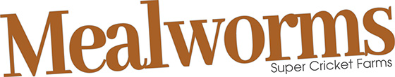 mealworms-header-text-super-cricket-farms-560x110 - Super Cricket Farms