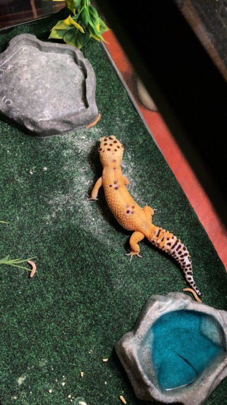 Image #2 from Samantha Marshall