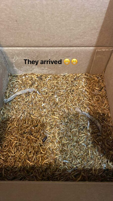 Image #1 from Samantha Marshall