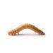 Close-up of a yellow-brown mealworm (mealworm beetle larva) on a white background.