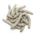 Pile of white, cylindrical, segmented larvae on a white background (dried silkworm larvae).