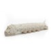 Long white silkworm caterpillar on a white background, shown in profile from the side.